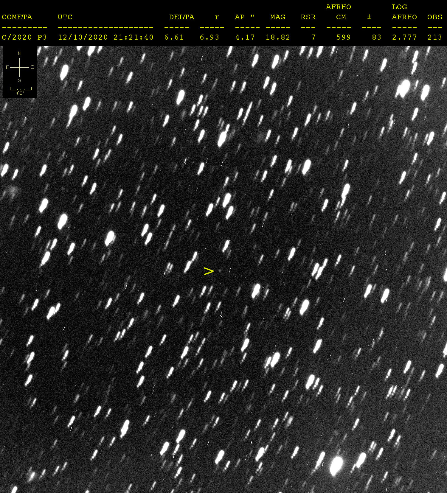 C2020P3-20201012-213.jpg