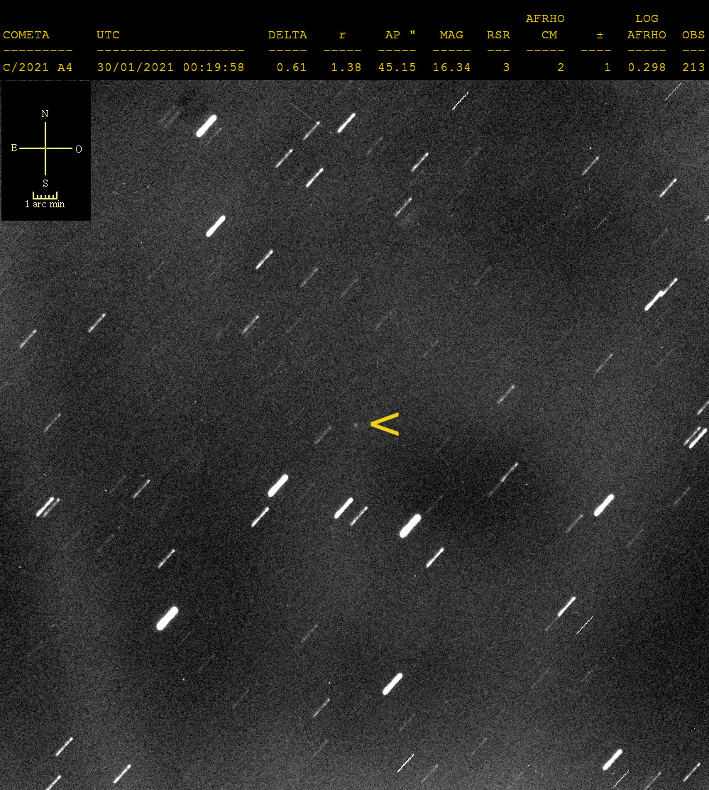 C2021A4-20210129-213.jpg